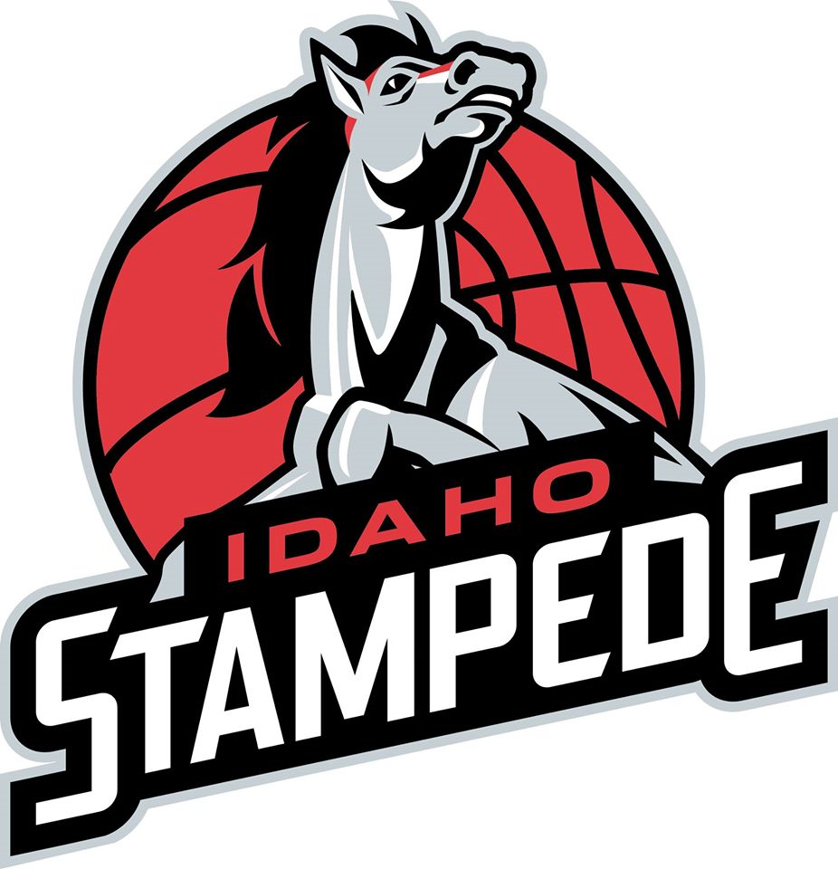 Idaho Stampede 2015-Pres Primary Logo iron on transfers for T-shirts